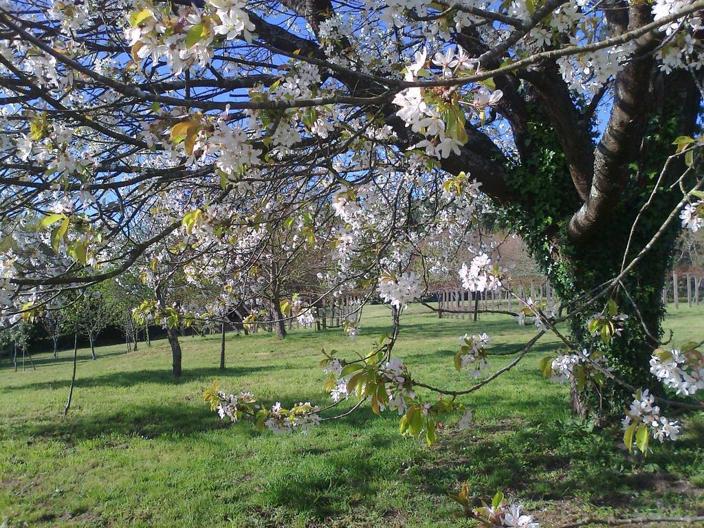 Pazo Cibran Country house San Julian De Sales